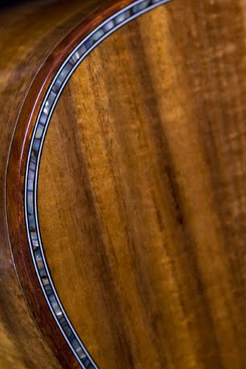 Acoustic Guitars: Compare Acoustic Guitars. Buying Guide.