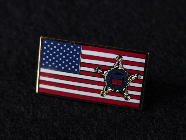 flag pin with star now worn by a lot of republicans