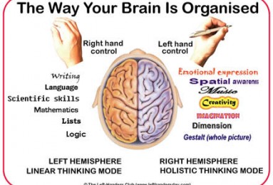 ambidextrous-left-vs-right-brain