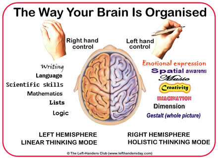 Left brain vs. right brain: fact or fiction? - Work Life by Atlassian