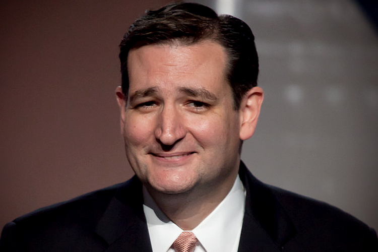 Sen. Ted Cruz smiling