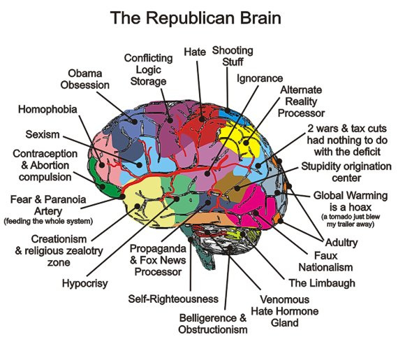 Brain diagram.