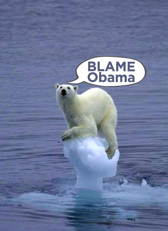 Blame Obama for Global Warming: stranded polar bear