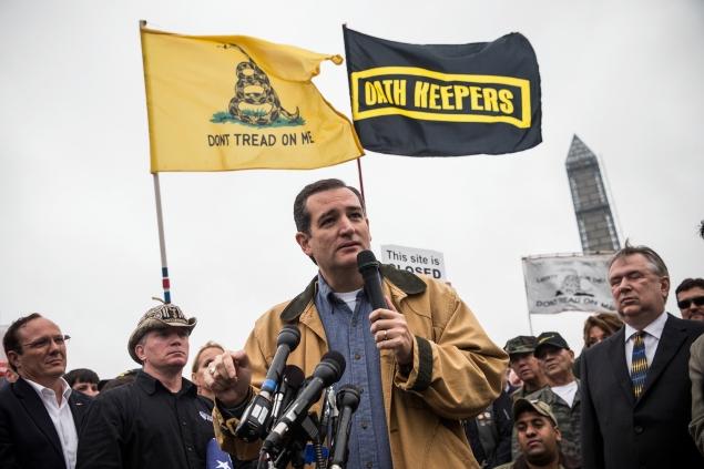 Ted Cruz, Tea Party Support