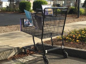 Dan Carpenter for Supervisor, Yard sign, blue, shopping cart