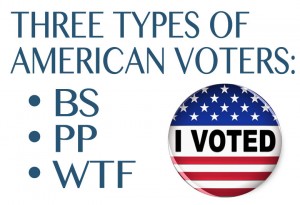 types-of-american-voters