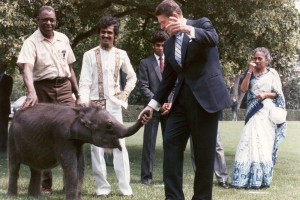 Ronald Reagan shaking trunk of an elephant