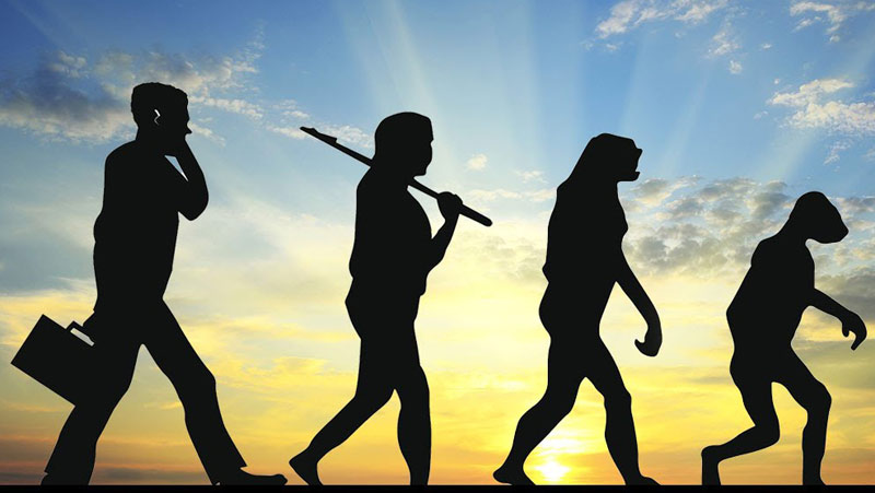 reverse evolution, man to ape