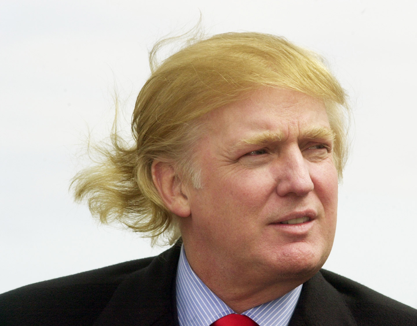 Donald Trump's hair in the wind.