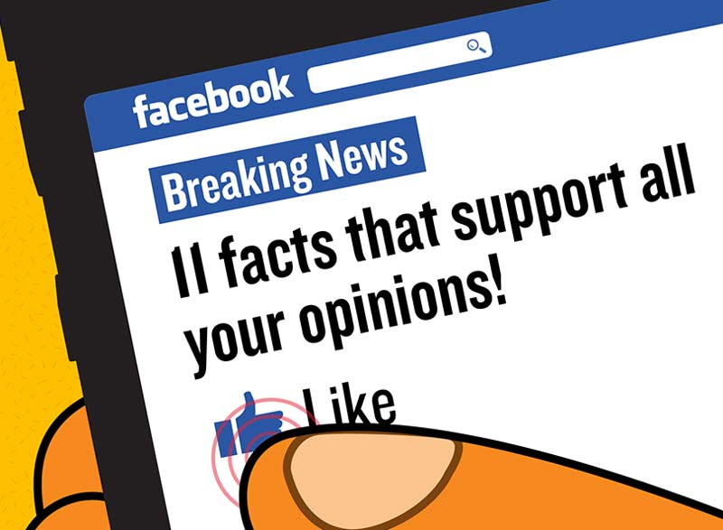 facebook likes, feedback loop