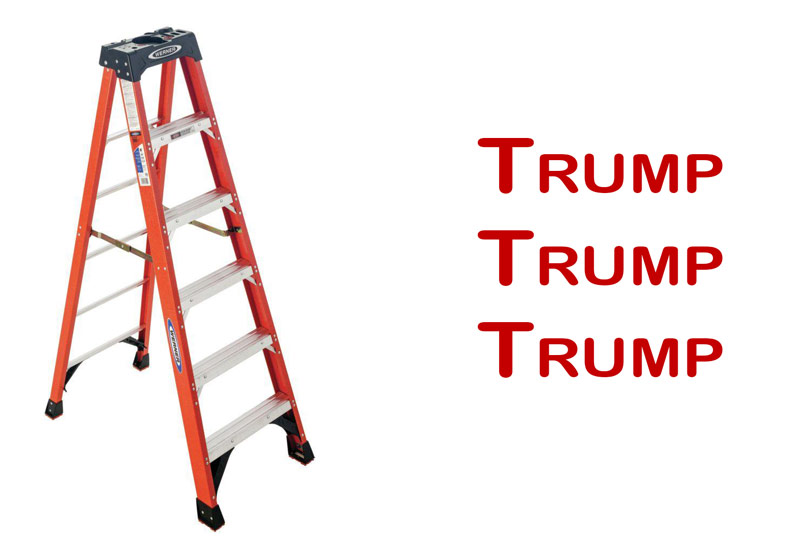 Trump, Flags, Chanting, Nazis, and a Ladder